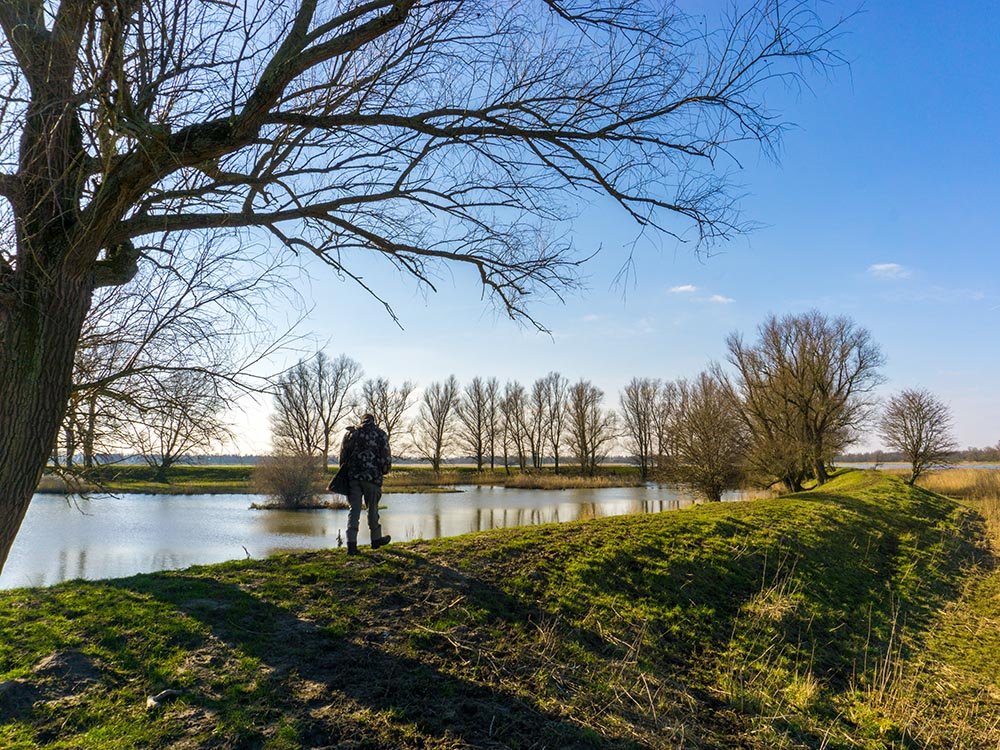 Wandeling Biesbosch