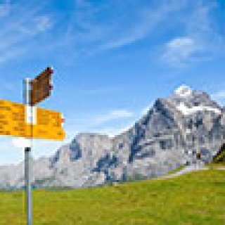 Afbeelding voor Bookatrekking - Bärentrek