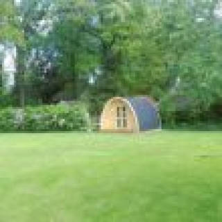 Afbeelding voor Natuurhuisje - Glamping pod