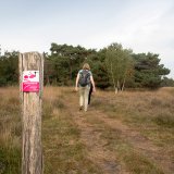 Afbeelding voor Klompenpaden