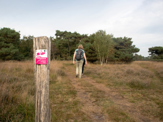 Afbeelding voor Klompenpaden