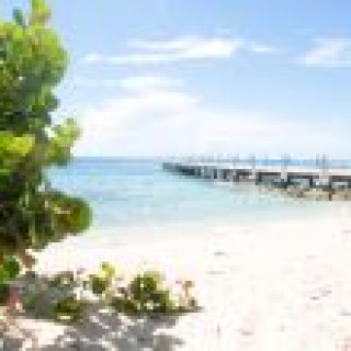 Afbeelding voor Barbados