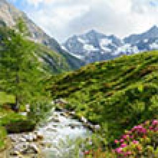 Afbeelding voor Pharos Reizen - Autovakantie Igls