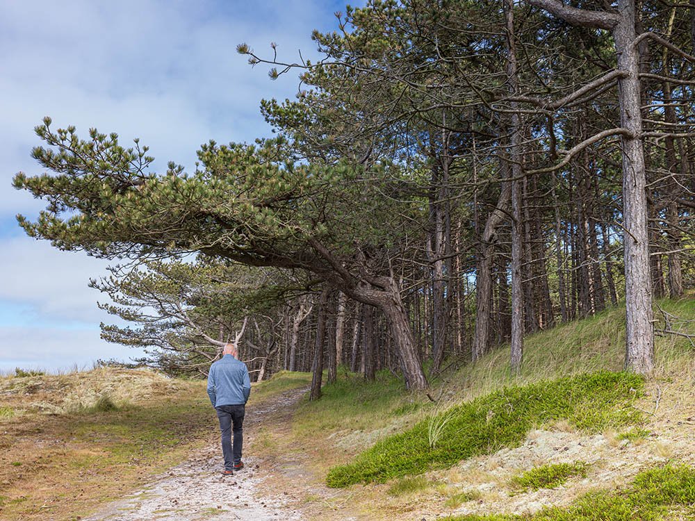 Wandelen op de Waddeneilanden