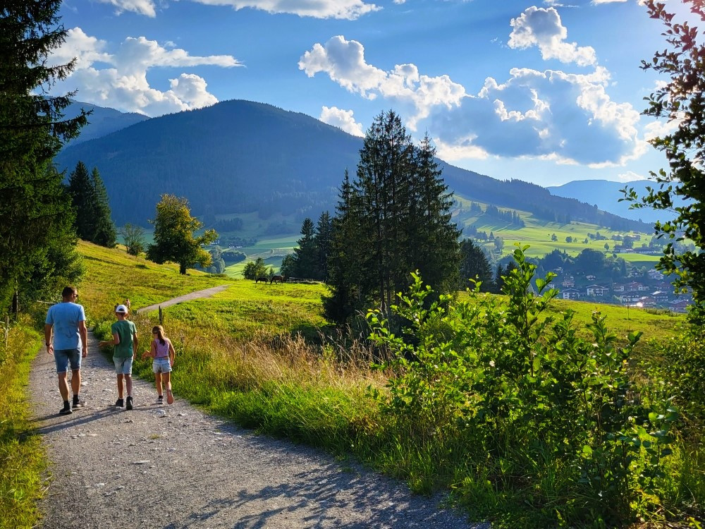 Prinzenberg bij Maria Alm