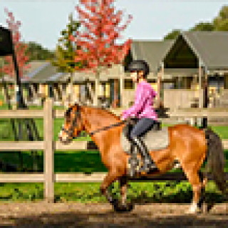 Afbeelding voor Farmcamps - Met de kids naar de boerderij