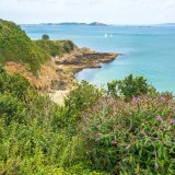 Afbeelding voor Guernsey