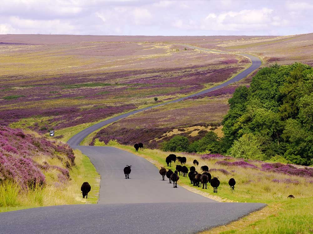 wAARDEvol reizen North York Moors