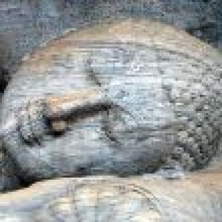 Afbeelding voor TUI - Sri Lanka vakantie