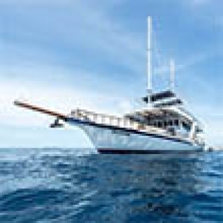 Afbeelding voor Intrepid Travel - Boottrip Malediven