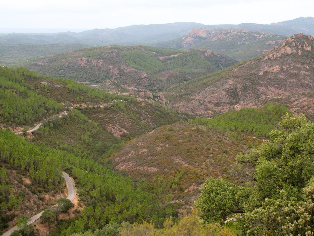 Weg in het Esterelmassief