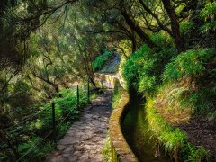 Hoe heten deze wandelingen?