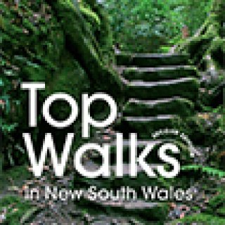 Afbeelding voor Bol.com - Wandelgids New South Wales