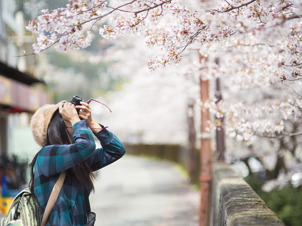 Bloesem fotograferen