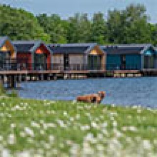 Afbeelding voor Landal - Klein Vink