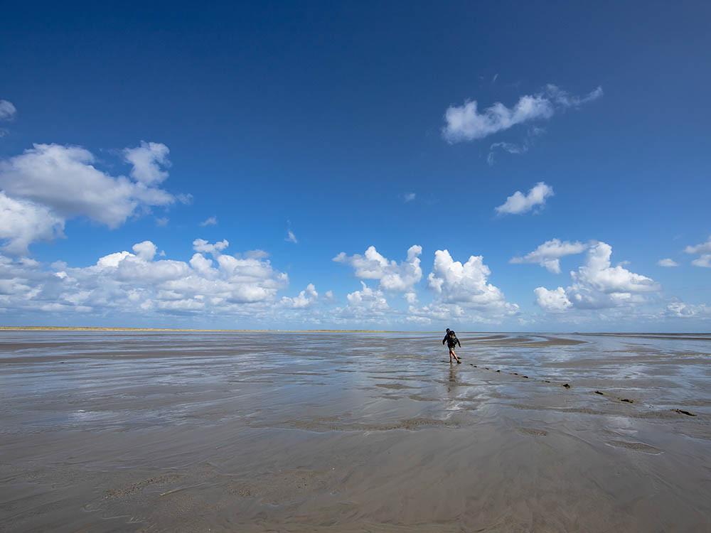 Wadlopen in Groningen