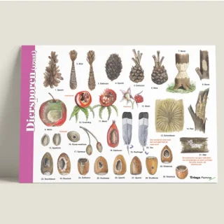 Afbeelding voor TIP - Herkenningskaart diersporen