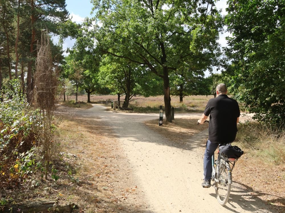 Fietsen op de heide