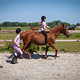 Afbeelding voor FarmCamps - Fleur Stables