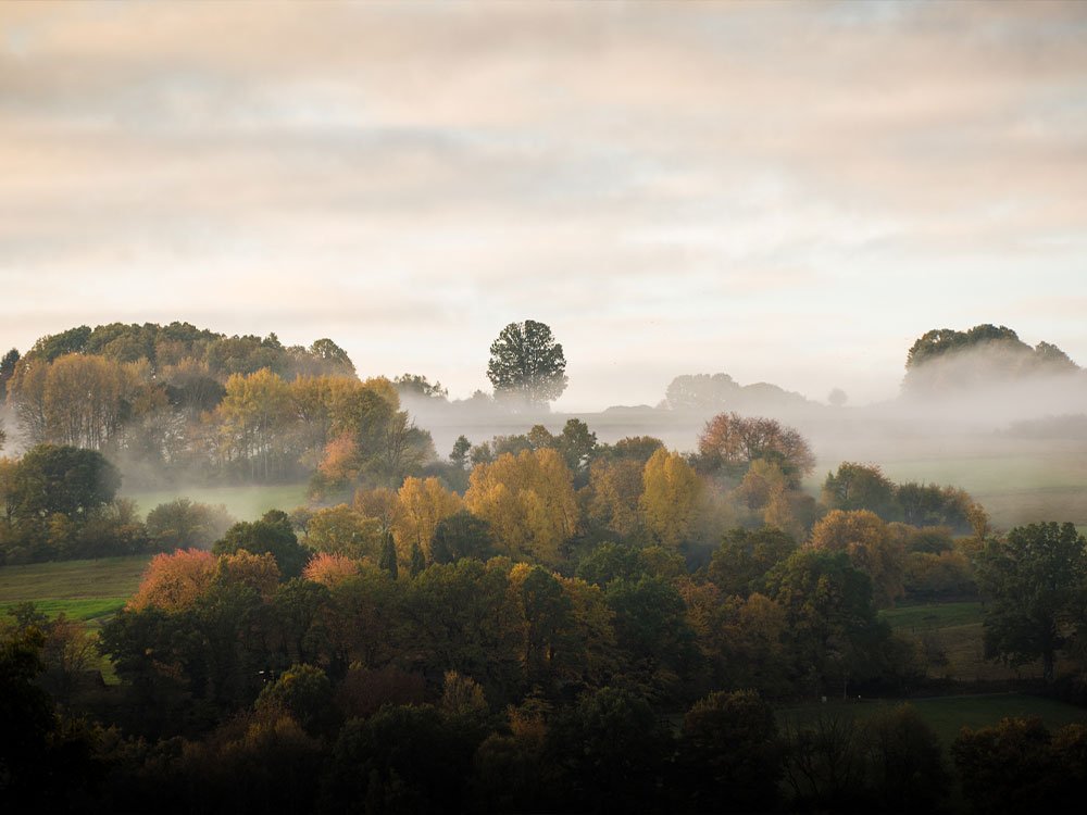 Natuur in Hessen
