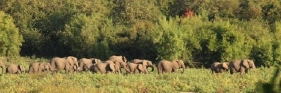 Top foto voor Top 10 Nationale Parken in Afrika