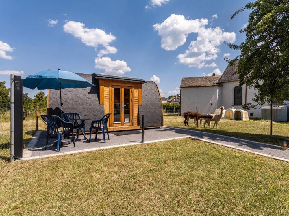 Campingpod tussen alpaca's