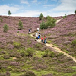 Afbeelding voor Bookatrekking - Wandelvakanties Nederland