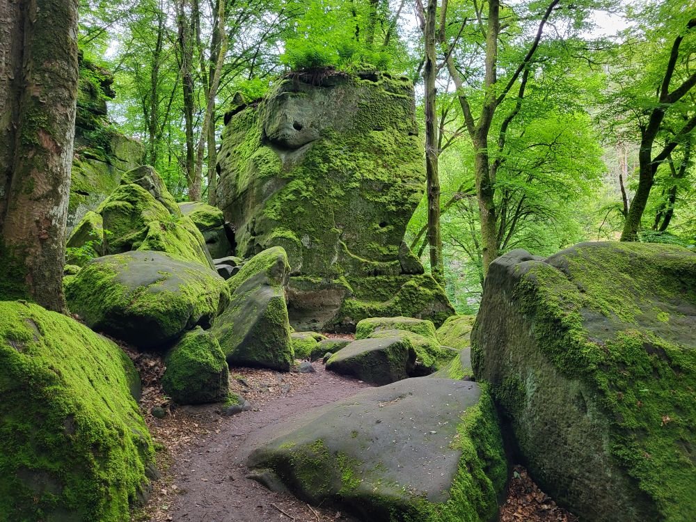 Rochers Mullerthal