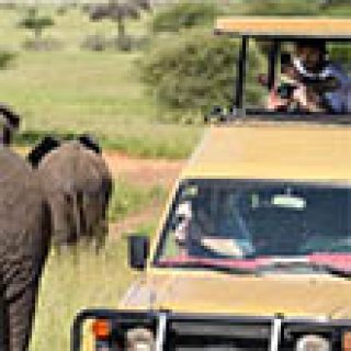 Afbeelding voor Local Hero Travel - Namibië