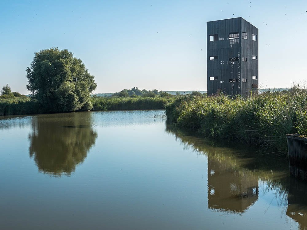De Roerdomp uitkijktoren