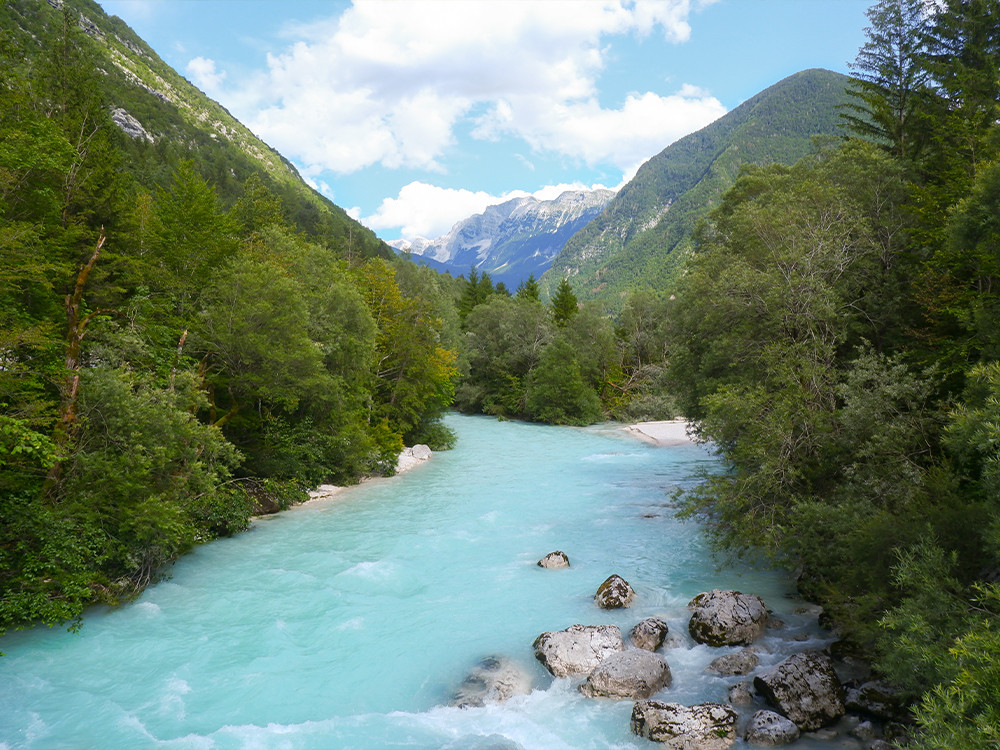 Natuur Soča Vallei