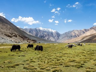 Afbeelding voor wAARDEvol reizen in India