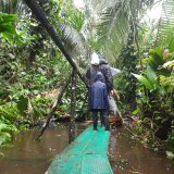 Afbeelding voor Amazone