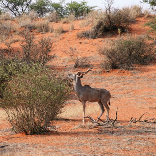 Afbeelding voor Bezienswaardigheden Namibië