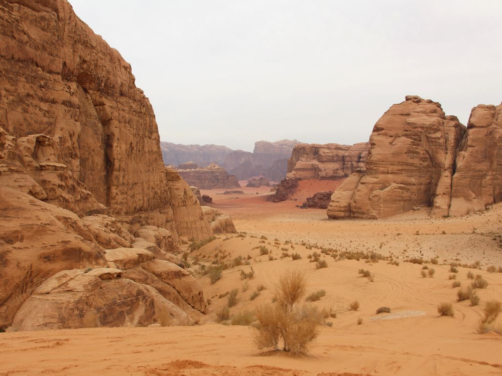 Natuur in Jordanië