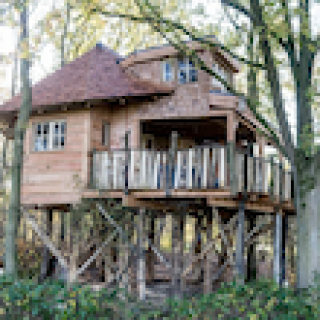 Afbeelding voor Westerbergen - Boomhut XXL