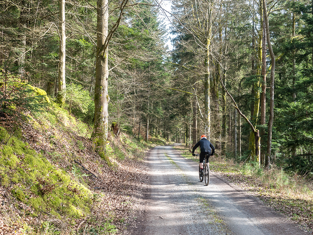 Crossen door de bossen