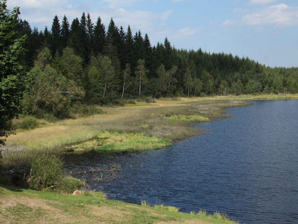 Mooie natuur