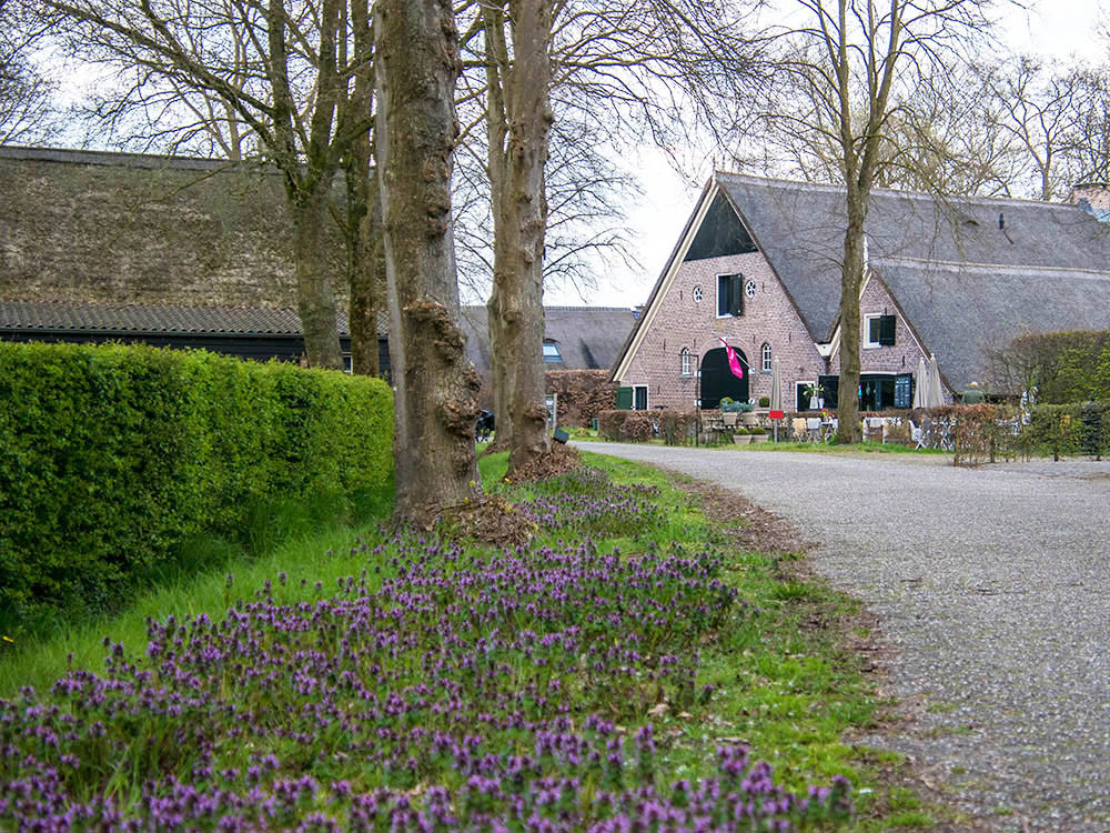 Brink van Rheeze met De Rheezer Kamer