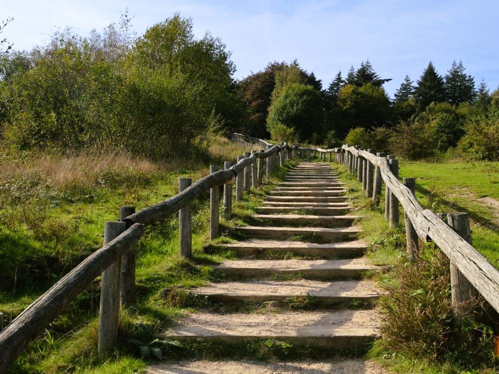 Kwintelooijen