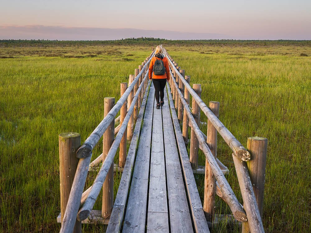 Wandelen in Estland