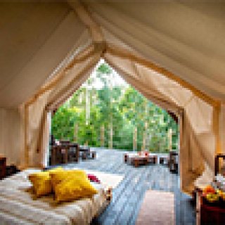 Afbeelding voor Quinta Alma - Ecological Retreat Farm