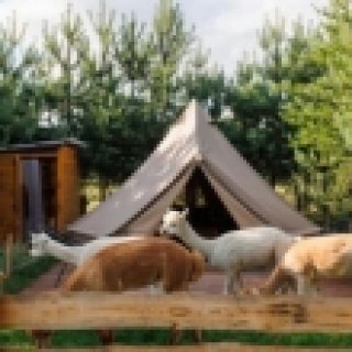Afbeelding voor Glamping Projekt Alpaca