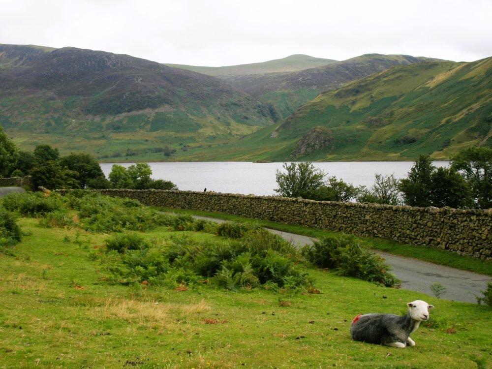Landschap Lake District