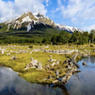 Afbeelding voor Travel Happiness Company - Natuurreis Argentinië