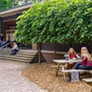 Afbeelding voor Stayokay - Slaap in hostels