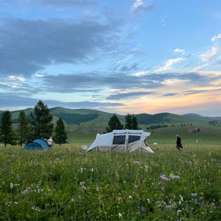 Afbeelding voor Dimsum Reizen - Wildkampeerreis Mongolië