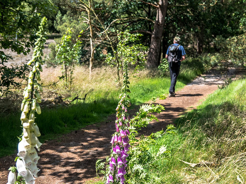 Wandelen bij Arnhem