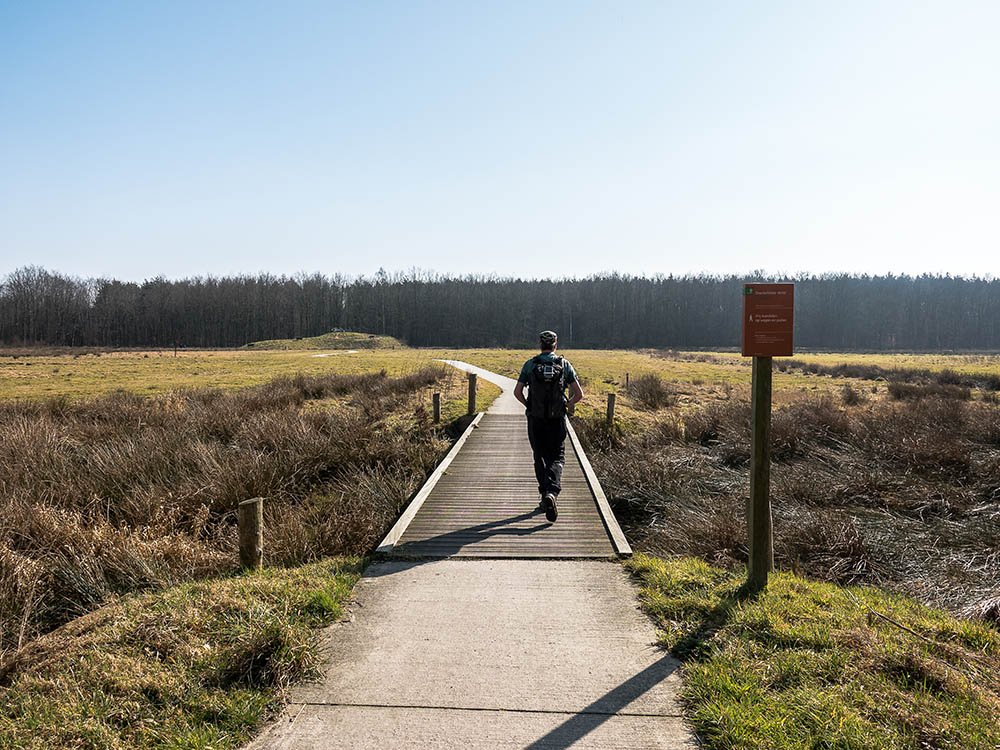 Wandeling Drents-Friese Wold
