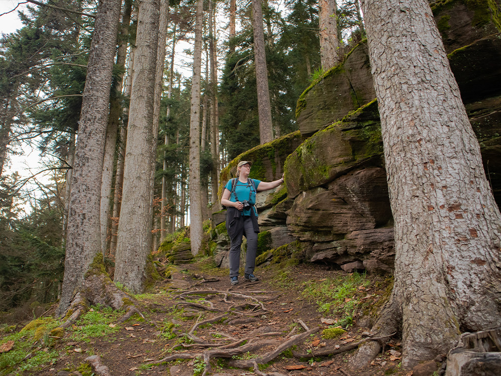 Wellnesswanderung